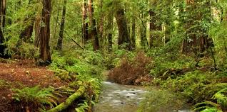 Visit Booneville and the Anderson Valley, have a beer from the Anderson Valley Brewing Company and just groove on the nature, or however you say that in Boontling