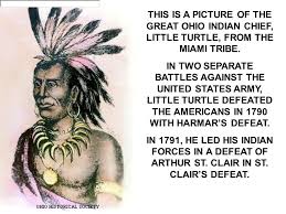 little-turtle
